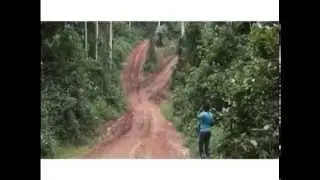 Illegal Logging and Forest Law Compliance in Ghana