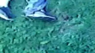the invisible skateboards