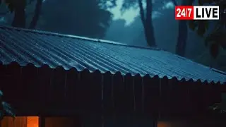 Barulho de Chuva para Dormir ⛈ Som de Chuva Relaxar e Trovão à Noite para Relaxar #79 Sleep Sounds