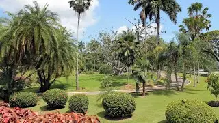 Botanic Gardens | Road Trip Adventures | Trinidad