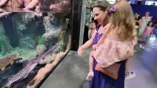 Aquario Foz
