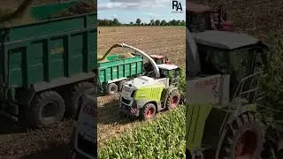 Claas Jaguar 950