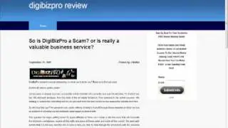 Digibiz Pro, the ultimate online business tool