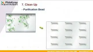 220224 Overview of NGS Library preparation with NEBNext Webinar