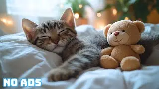 Relaxing Cat Music 🐱 Soft Melodies to Help Your Pet Sleep Peacefully All Night