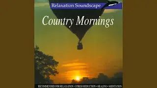 Country Mornings