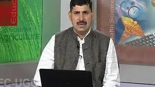 State Democracy in South Asia - II