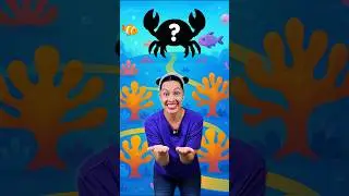 Веселая викторина о морских животных для детей! Что это? &ndash; Акула, морская черепаха и другие