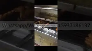 Charcoal Barbecue Grill Machine Commercial Rotisserie Grill Automatic Rotating Barbecue Machine