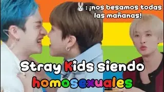 Stray Kids siendo homosexuales 🏳️&zwj;🌈 &bull;|&bull; #straykids #viral #fyp #kpop #antuplayzz 