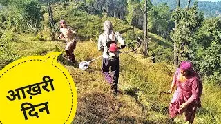 घास काटाई का हमारा आखिरी दिन||Pahadi Lifestyle Vlog||Explore Himalaya 2393