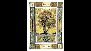 Ogham Reading