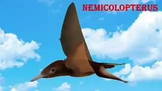 nemicolopterus