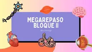MEGAREPASO Bloque II (parte 2) - 2026
