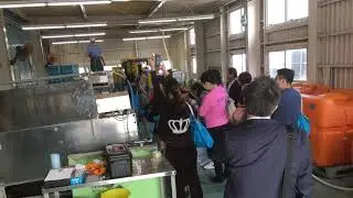Inside Tour of Turmeric Processing Plant
