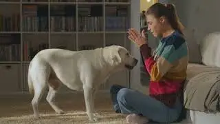 Stop Talking, Start Leading &ndash; The Hidden Key to Transforming Your Dog&rsquo;s Behavior