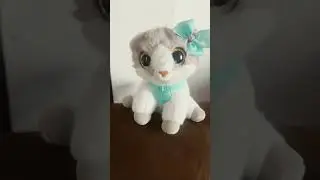 Pets alive smitten kittens