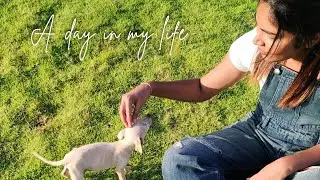 A day in my life🤍 #Athirahsswag #trending #viral 