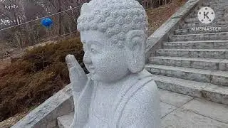 Exploring Hyangiram Temple(Dolsan South Korea)