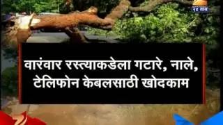 Mumbai 227 Trees Cut