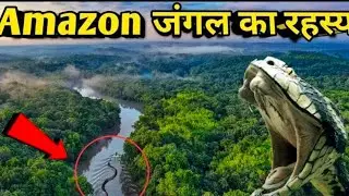 Amazon Jungle Ka Rahasya Hindi Mein | Amazon Rainforest Forest Video Hindi? sonu set