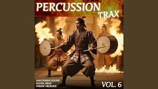 Alpha Force Percussion