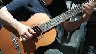 Шикарная Классика NewTone Полный Массив Кедр+ Сапеле