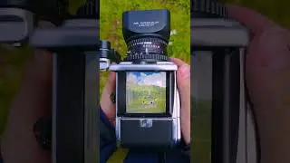 The Sound of Precision | Hasselblad 500C/M ASMR