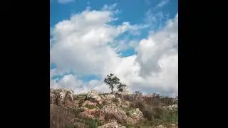 Nature Procession  - J. Barallobres, Heidi Al Sabban, Raushan Orazbaeva, S. Friedrich, L. Avellina
