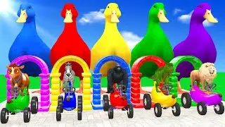 Long Slide Game With Cow Zebra Gorilla Dinosaur Lion Hippopotamus 3d Animal Game Funny 3d Animals