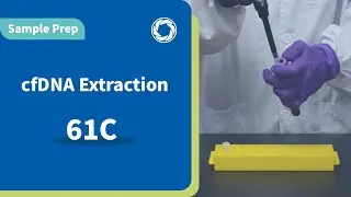 TANBead Nucleic Acid Extraction Kit | cfDNA Extraction &ndash; 61C | Sample Prep