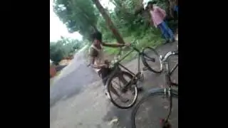 Don no-1