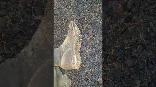 Your Boots Are Probably Not 