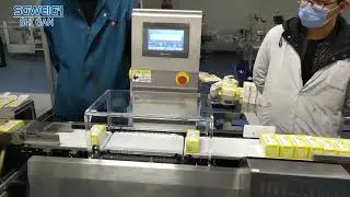 Accurate Inline Box Checkweigher for Production Efficiency Weight Checker