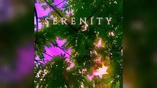 Serenity (Chill Beat) | Prod. Fly_Tunes