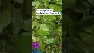 price of food in nigeria #marketunboxing #foodmarket