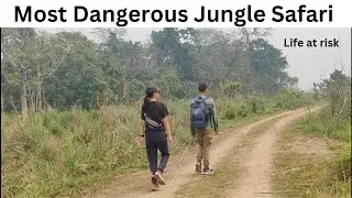 Most Dangerous Jungle Safari - Chitwan National Park