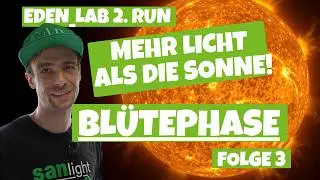 Welche Pflanzen sehen besser aus? Mehr Licht=Qualit&auml;t? Update Eden LAB 3