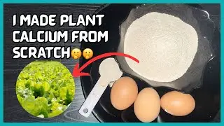 I TRIED MAKING CALCIUM FOR MY PLANTS FROM EGGSHELLS