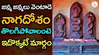 ఇవి దానం చేస్తే చాలు నాగదోషం పోతుందట | How to Get rid of Naga dosham | Eagle Media Works