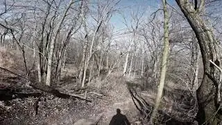 LaBagh Woods