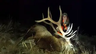 Capturing Wolves Collaring Calves & Jana's First Bull