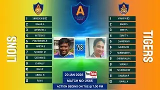 TIGERS  VS  LIONS    (20.01.2026 )