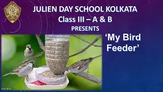 Bird Feeder Presentation