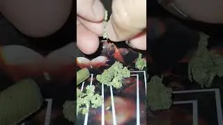 Breaking it up #breakup #stiiizy #rolligtray #flower