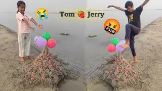 Tom 🍓 Jerry Fun 🤩 real twist end 😂 #trendingvideo #tomandjerry 