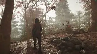 Assassin's Creed Shadows - Walking in the rain - Kyoto