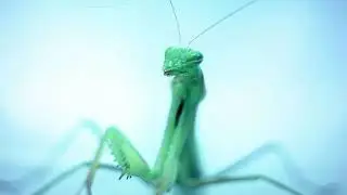 Drojji - Aziz (music video)