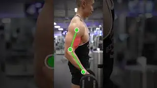 bicep workout| #treanding #youtubeshorts #treandingshorts #workoutmotivation #workupdate