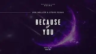 Ash Mellor, Steve Fokas - Because Of You (Vlad Jet Remix) [Musique de Lune Noire]